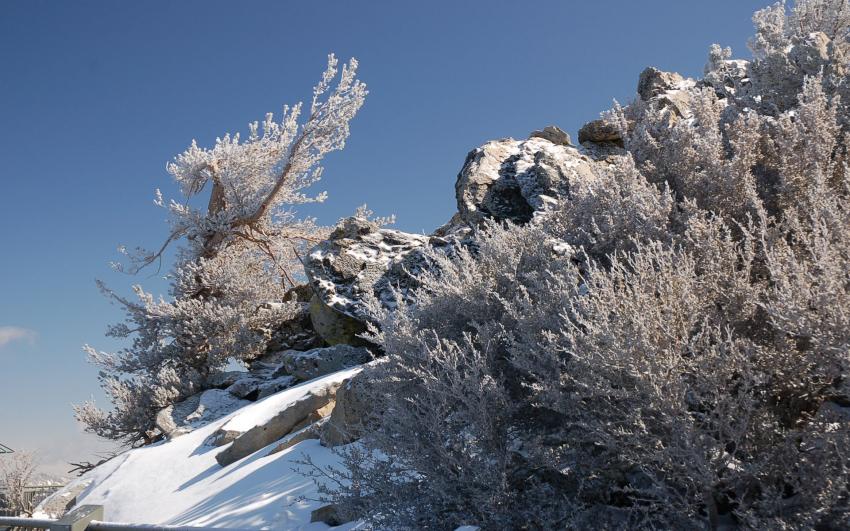 les hauteurs de Tahoe