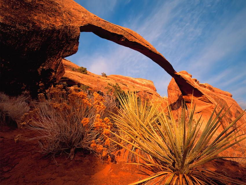 landscape Arch