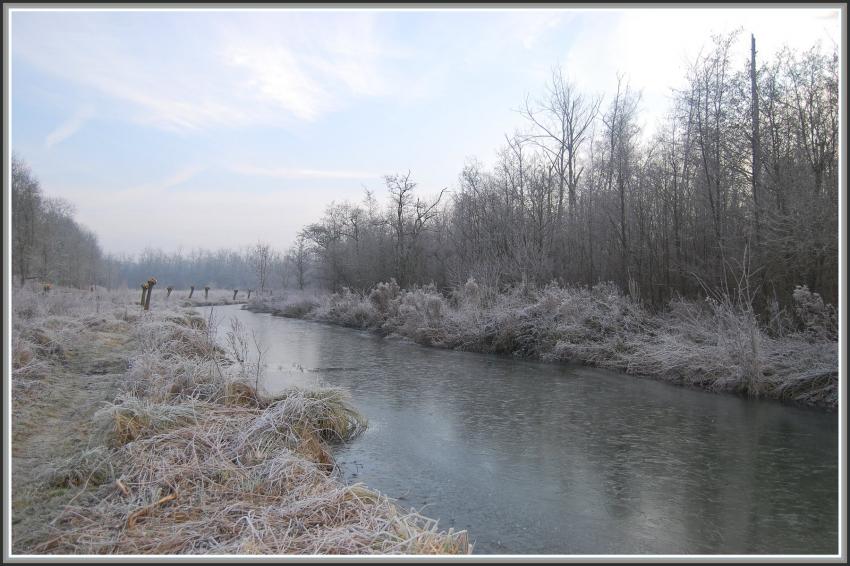 Marais d'Isle  St-Quentin (02)