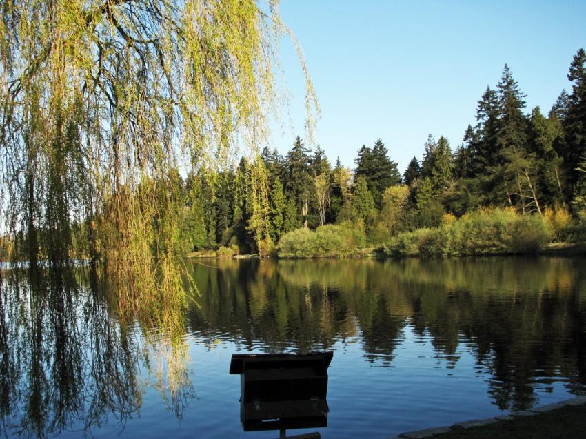 Lost Lagoon Vancouver