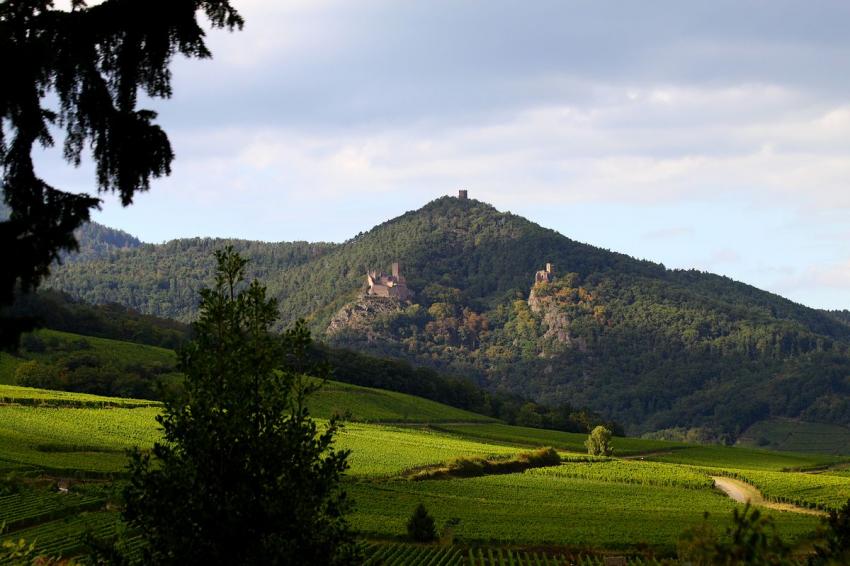 Les vignes et les trois chteaux