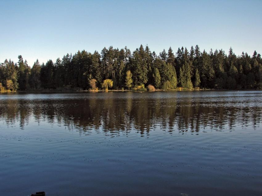 Lost Lagoon Vancouver