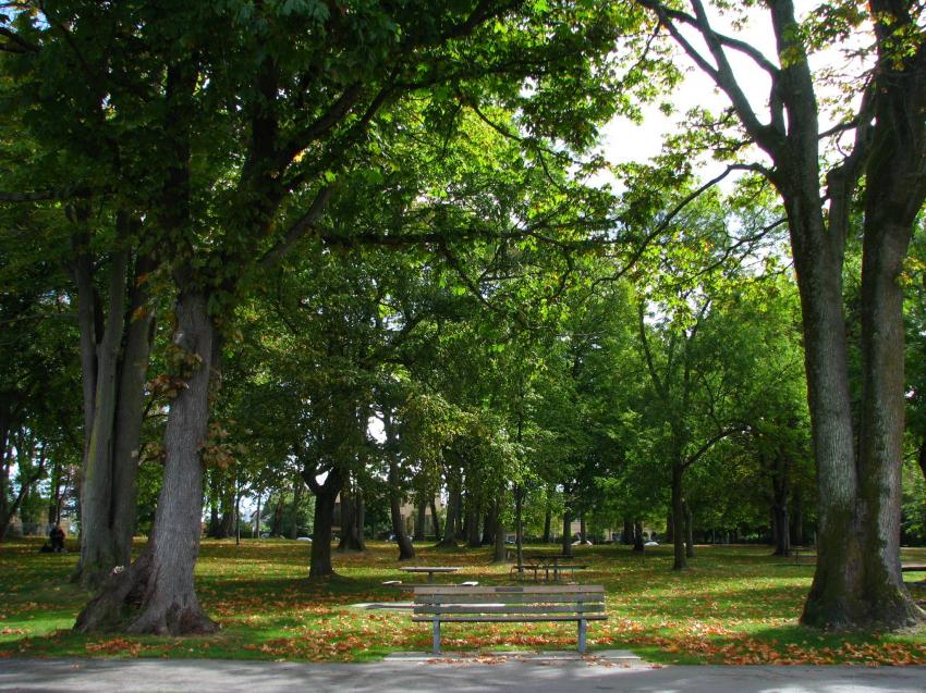 Petit parc  Kitsilano Beach Vancouver