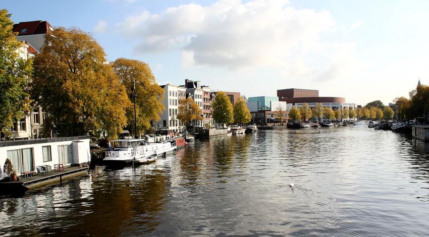 Amsterdam (113) Le cygne solitaire