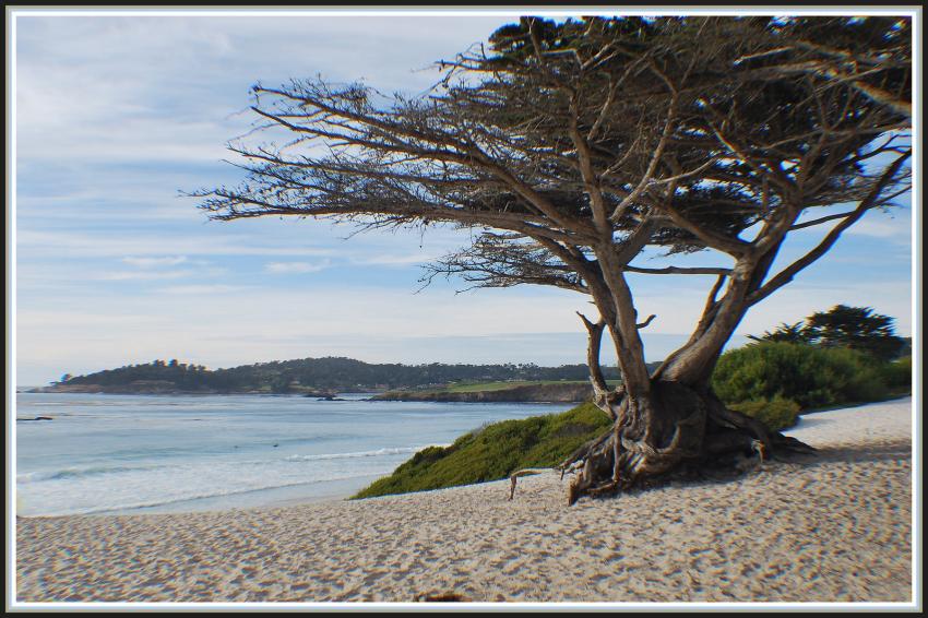 Carmel (Californie)