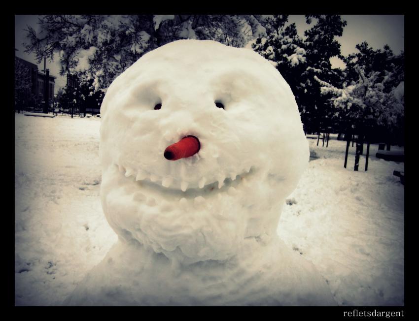 bonhomme de neige (avec son dentier)
