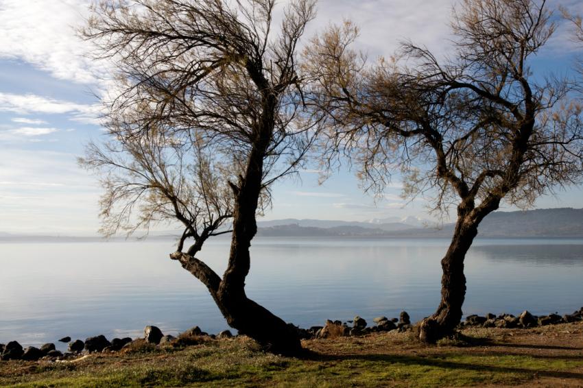 Etang de Bages au petit matin.