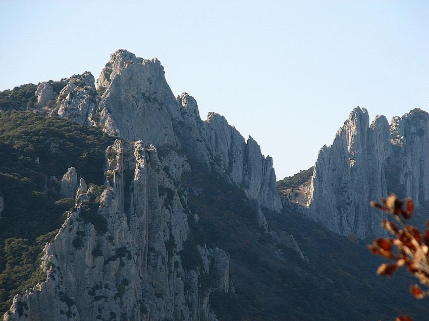 les dentelles de Montmirail