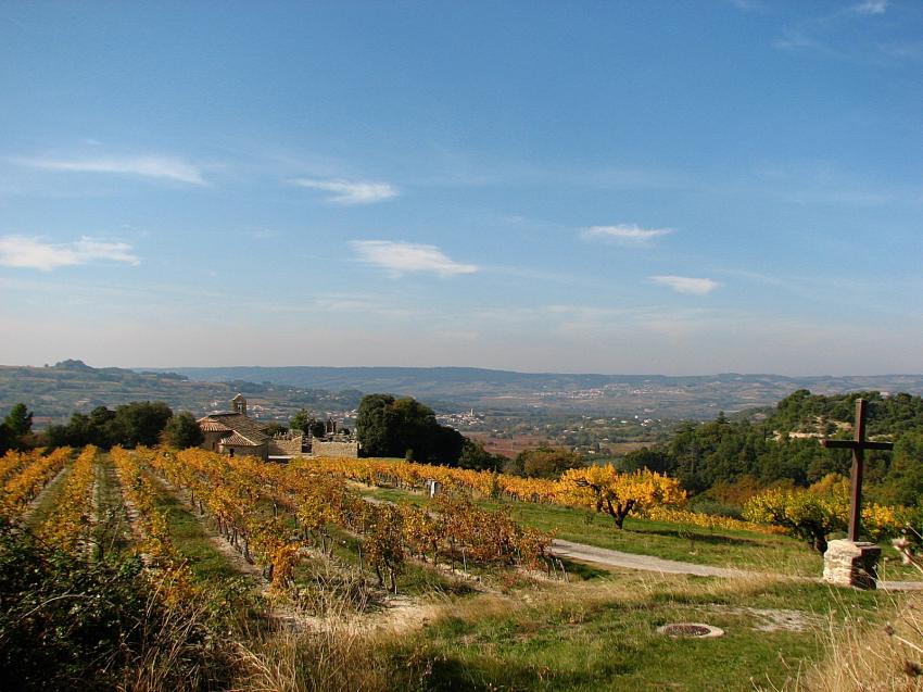 Les vignes de Seigneur ..