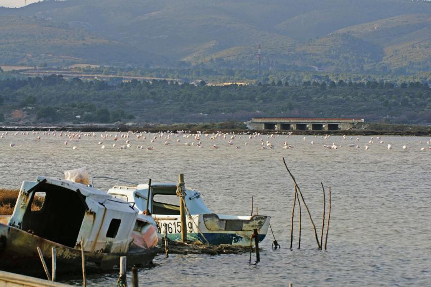 Etang de Bages