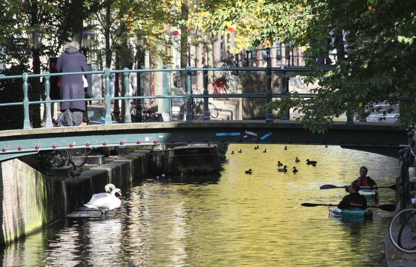 Amsterdam (128) Que regarde donc, le canoste ?