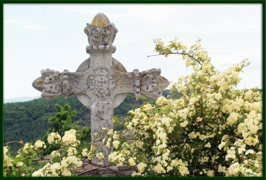 Abbaye de Valsaintes