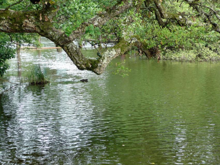 Lac de Lon