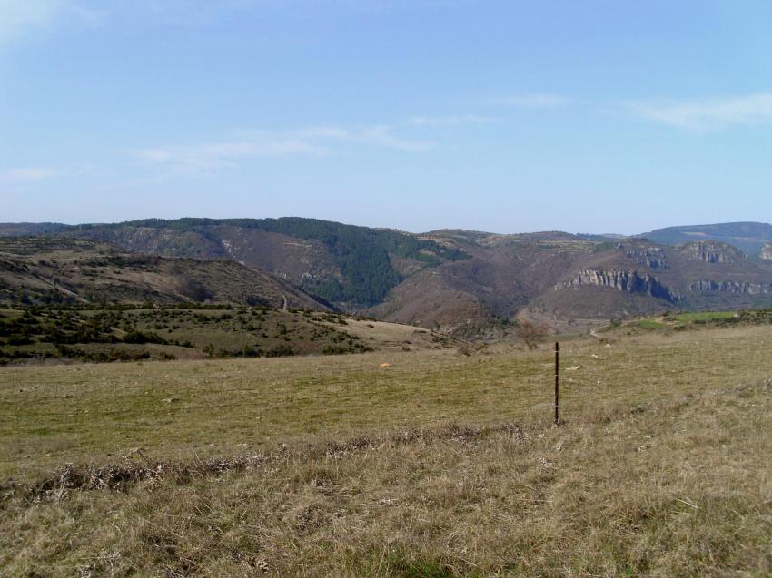 col de pirre plantee