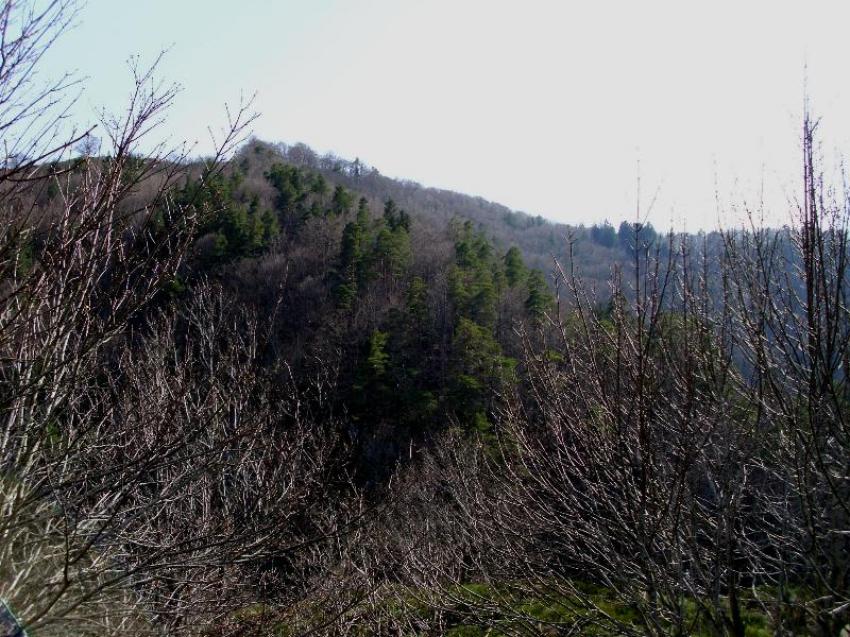 col de rhode dourbies