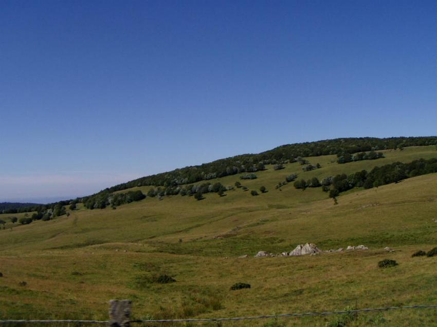 nature vers aubrac