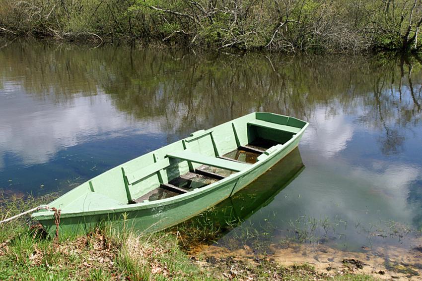 Le lac d'Aureilhan au printemps