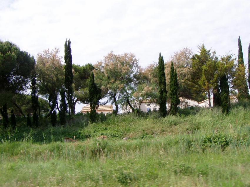 rte de la petite camargue