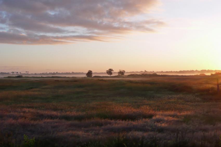 Bords de l'Eyre