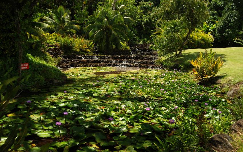 jardin d'eau