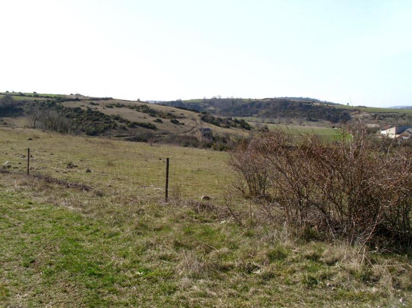 col de pierre plante