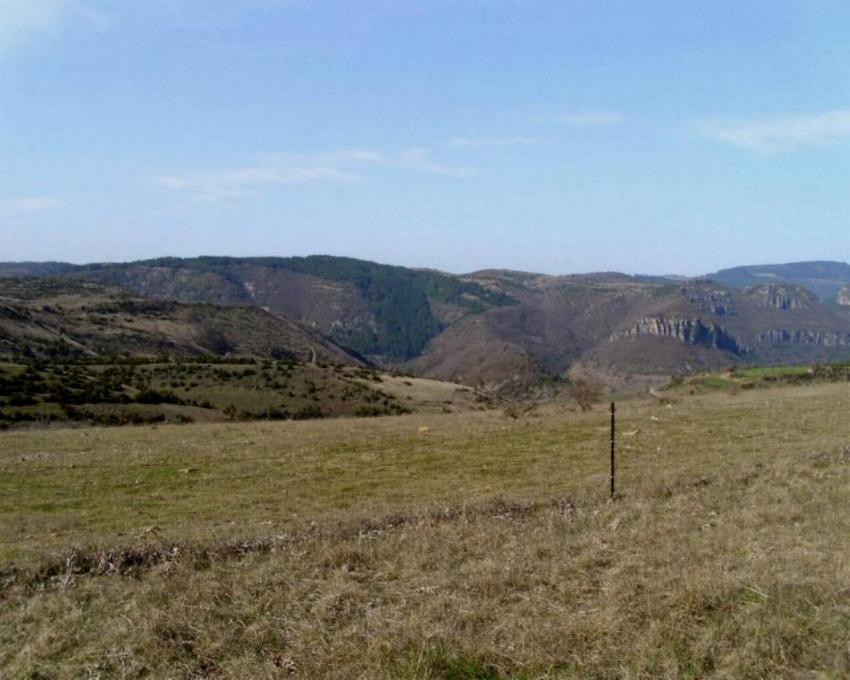 col de pierre plante