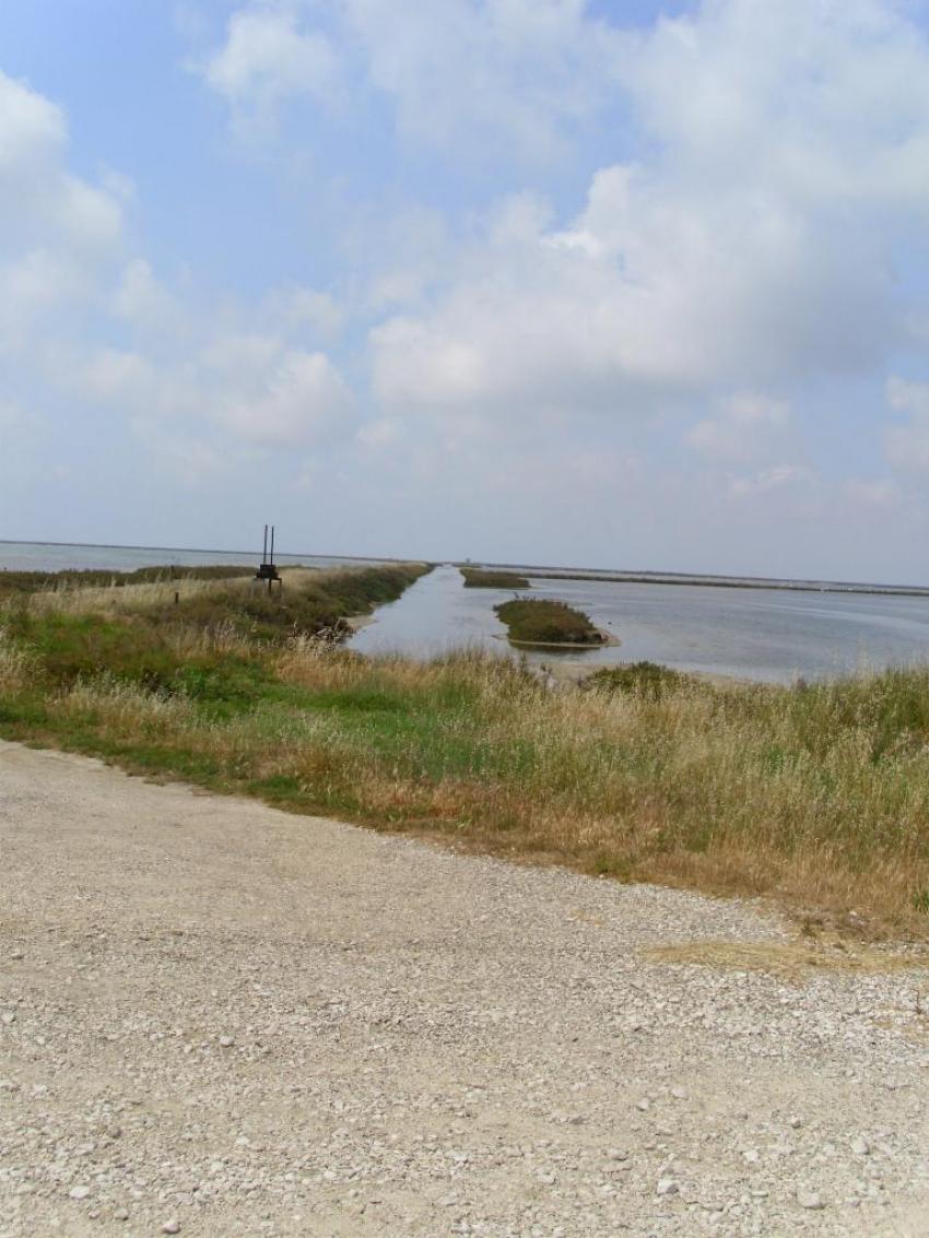 salins du giraud