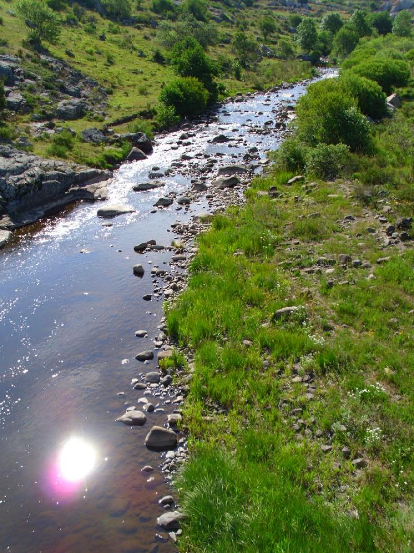 pont de gournier