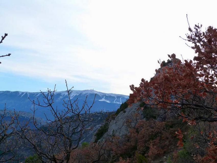 Le Mt Ventoux vu du col d'Ey