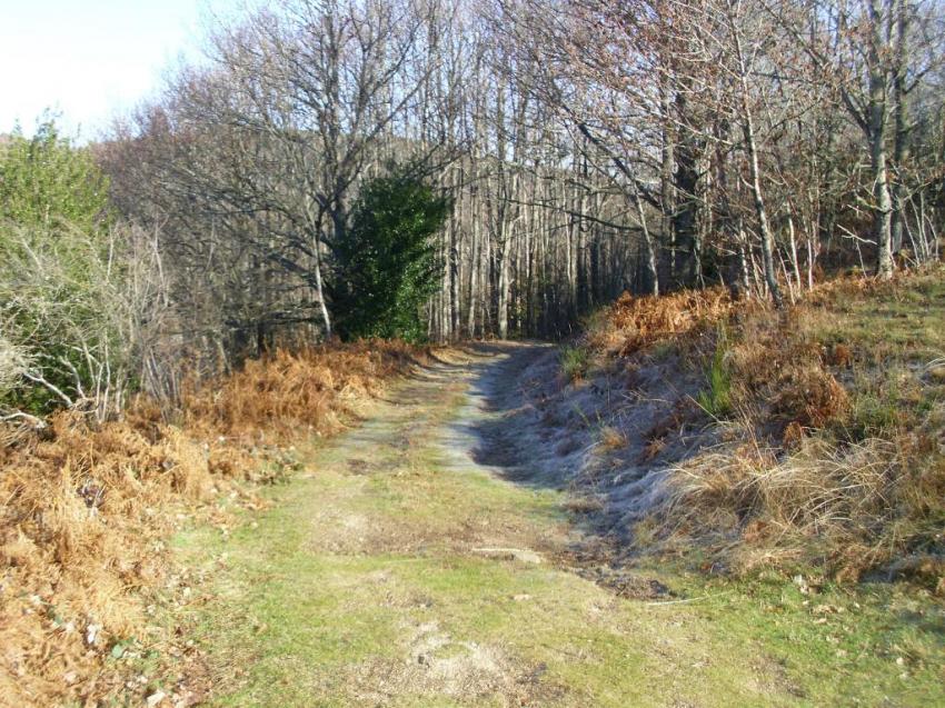 pique nique bois du lac de laouzac