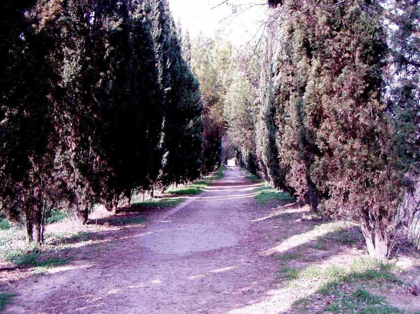 bord du lez montpellier