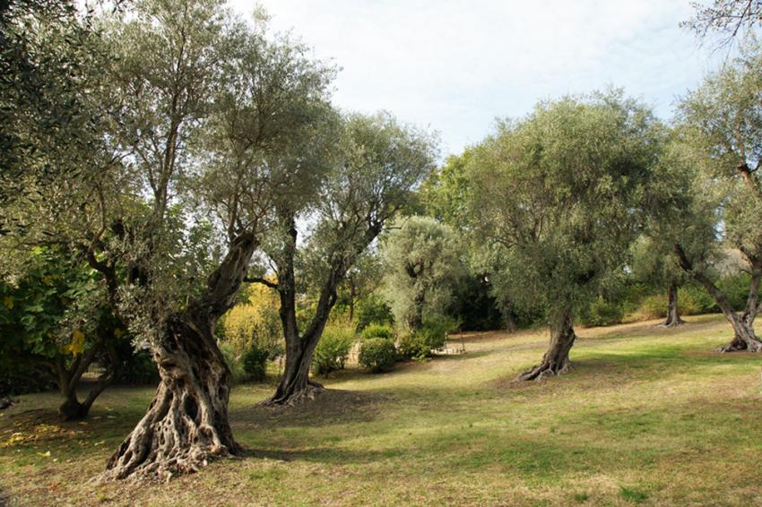 Cagnes sur Mer