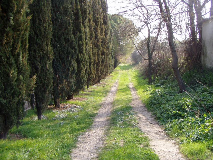 chemin montpellier