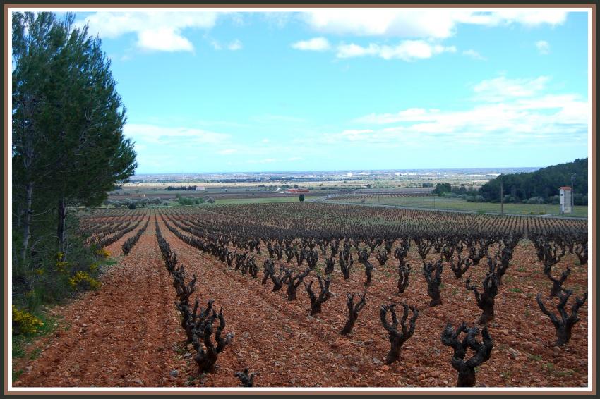 Paysage en Roussillon