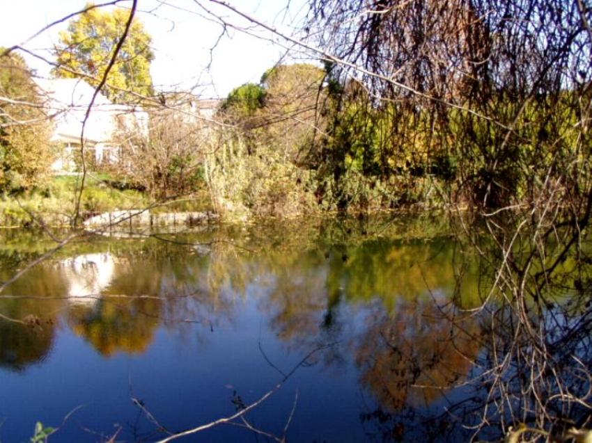 bord du lez montpellier