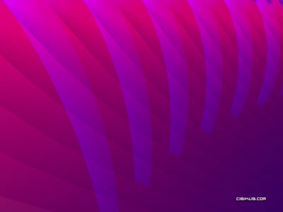 la croisée des roses