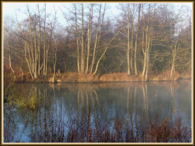 Marais d'Isle à Saint-Quentin (02)