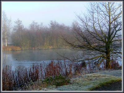 Marais d'Isle à Saint-Quentin (02)