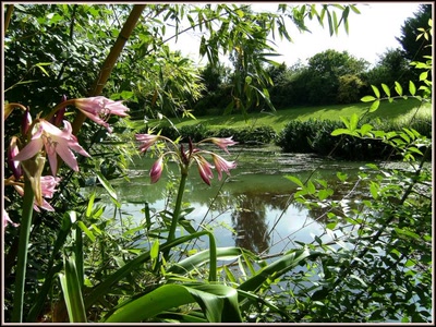 Le Temple sur Lot (47) - Marécages