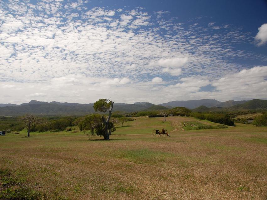 prairie calédonienne