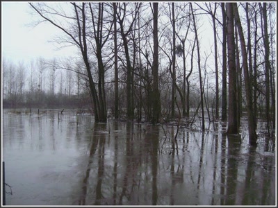 Hiver à Séry-les-Mézières (02)