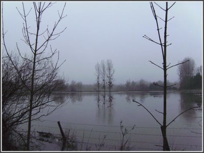 Séry-les-Mézières (02) Pâture gelée.