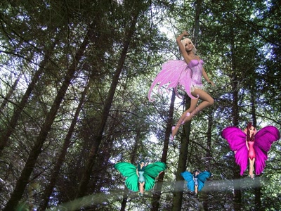 quelles que fées audoise