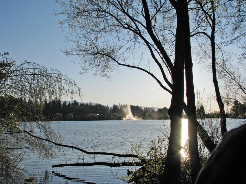 Lost Lagoon Vancouver