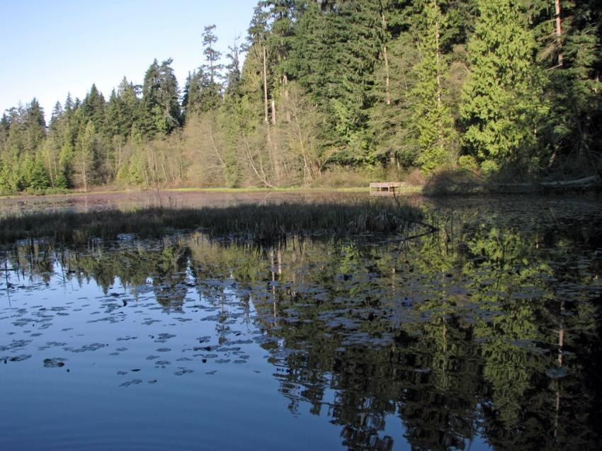 Beaver Lake Vancouver