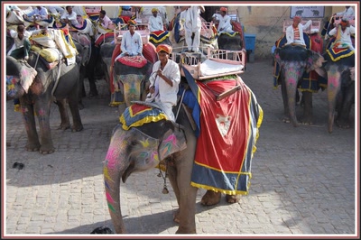 Elephants de Fort Amber (Jaipur-Inde)