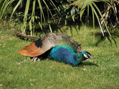 Après la roue, le repos !
