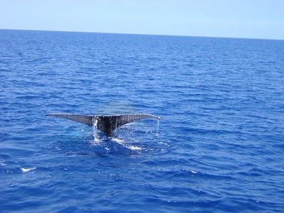 A l'année prochaine...