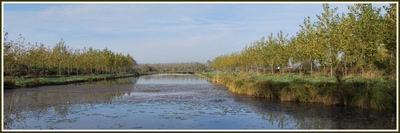 Automne près de mon village