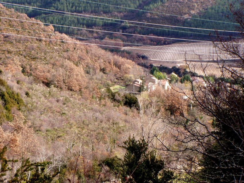 nature et un village